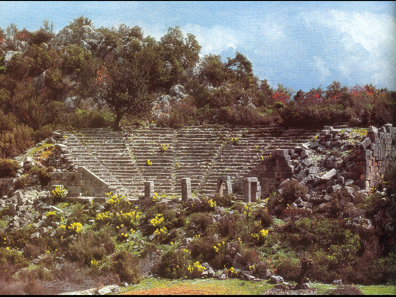 press image to open photo library