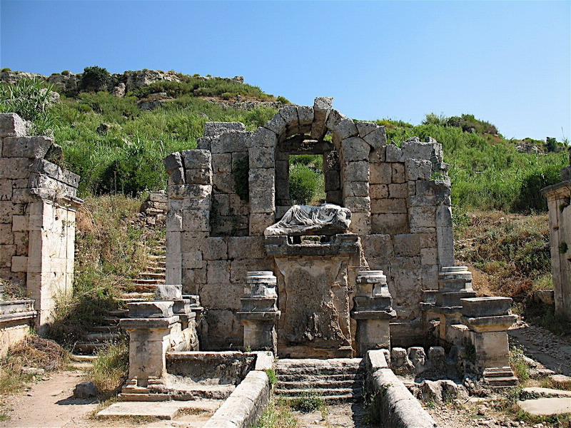 press image to open photo library